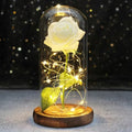 Flower Dome LED Light - Baytolux
